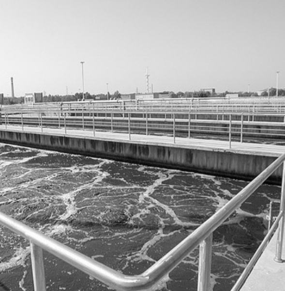 水产加工污水处理设备